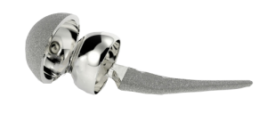 hip_joint